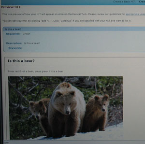 Isthisabear Isthisabear